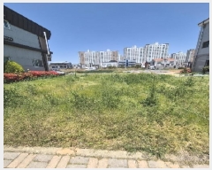  2025Ÿ32538  ֽ  155-4       ()