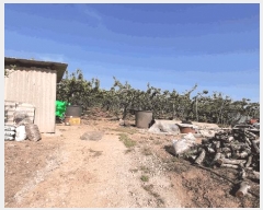  2025Ÿ��32616 ���� ���ֽ� ��õ�� ������ 497-19      ����(������)���