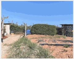  2025Ÿ��32616 ���� ���ֽ� ��õ�� ������ 497-19      ����(������)���