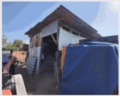  2025Ÿ��32616 ���� ���ֽ� ��õ�� ������ 497-19      ����(������)���