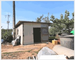  2025Ÿ��32616 ���� ���ֽ� ��õ�� ������ 497-19      ����(������)���