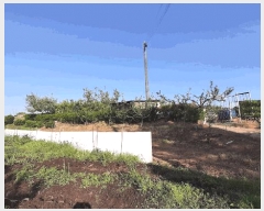  2025Ÿ��32616 ���� ���ֽ� ��õ�� ������ 497-19      ����(������)���