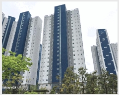  2025Ÿ32647  ֽ  縮 409 ֳ򰭺þ쳻ȾָƼ1 102 5502ȣ   Ʈ