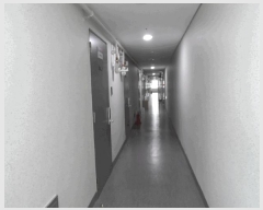  2025Ÿ��32966  ���ǽ��ڰ��