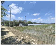  2025Ÿ��32983 ���� ���� ������ 412-4       ����(��)���