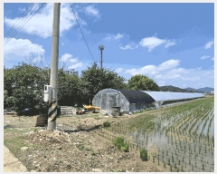  2025Ÿ��32983 ���� ���� ������ 412-4       ����(��)���