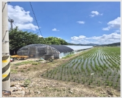  2025Ÿ��32983 ���� ���� ������ 412-4       ����(��)���