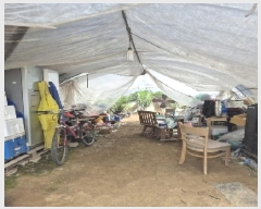  2025Ÿ��32983 ���� ���� ������ 412-4       ����(��)���