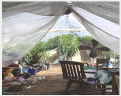  2025Ÿ��32983 ���� ���� ������ 412-4       ����(��)���