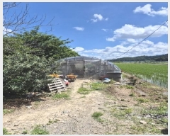  2025Ÿ��32983 ���� ���� ������ 412-4       ����(��)���