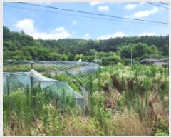  2025Ÿ��33090 ���� ���ֽ� ������ ��õ�� 1239-1      ����(��)���