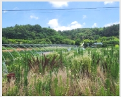  2025Ÿ��33090 ���� ���ֽ� ������ ��õ�� 1239-1      ����(��)���