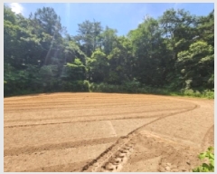  2025Ÿ��33090 ���� ���ֽ� ������ ��õ�� 1239-1      ����(��)���