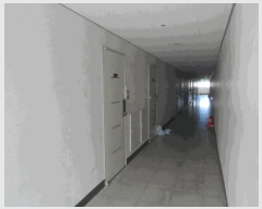  2025Ÿ��33257  ���ǽ��ڰ��