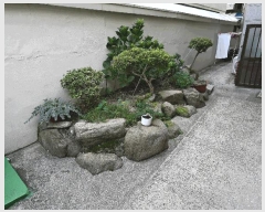  2025Ÿ��33397  ���ð��