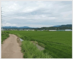  2025Ÿ��33462 ���� ��籺 ������ ������ 364-8      ����(��)���