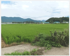  2025Ÿ��33462 ���� ��籺 ������ ������ 364-8      ����(��)���