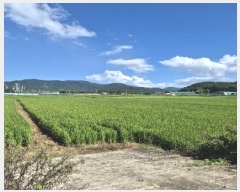  2025Ÿ��33462 ���� ��籺 ������ ������ 364-8      ����(��)���