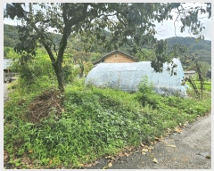  2025Ÿ��33881  �������