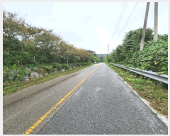  2025Ÿ��33881  �������