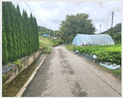  2025Ÿ��33881  �������