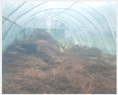  2025Ÿ��33881  �������