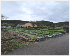  2025Ÿ��33881  �������