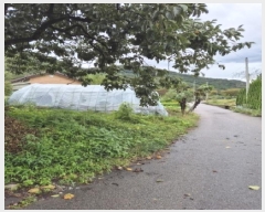  2025Ÿ��33881  �������