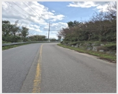  2025Ÿ��33881  ���ΰ��