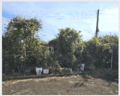  2025Ÿ��33912 ���� ���ֽ� ��Ȳ�� ������ 627-3      ���ð��