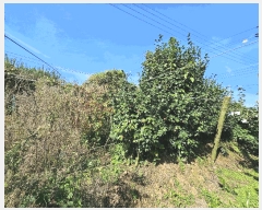  2025Ÿ��33912 ���� ���ֽ� ��Ȳ�� ������ 627-3      ���ð��