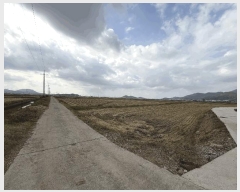  2025Ÿ��34035 ���� ������ ����� �л긮 541-9      ����(��)���