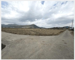  2025Ÿ��34035 ���� ������ ����� �л긮 541-9      ����(��)���