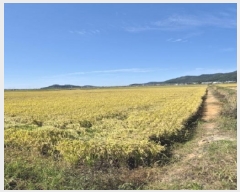  2025Ÿ��34035 ���� ������ ����� �л긮 541-9      ����(��)���