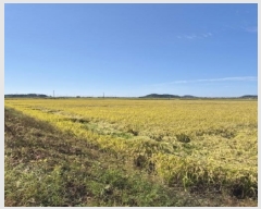  2025Ÿ��34035 ���� ������ ����� �л긮 541-9      ����(��)���