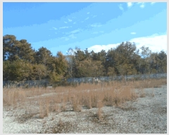  2025Ÿ��34163 ���� ���걸 ��Ƶ� ��103       ����(�Ӿ�)���