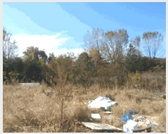  2025Ÿ��34163 ���� ���걸 ��Ƶ� ��103       ����(�Ӿ�)���