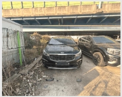  2025Ÿ��34219 ���� ���� ǳ����� 317 �ϳ��ο����ؾ�      �������