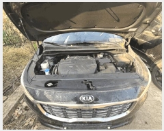  2025Ÿ��34219 ���� ���� ǳ����� 317 �ϳ��ο����ؾ�      �������