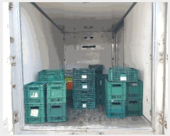  2025Ÿ��34339 ���� ���� �Ӿϵ� 631-8       �������