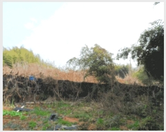  2025Ÿ��34463 ���� ���ֽ� ������ �ε��� 457-5      ����(��1)���