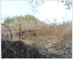  2025Ÿ��34463 ���� ���ֽ� ������ �ε��� 457-5      ����(��1)���