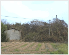  2025Ÿ��34463 ���� ���ֽ� ������ �ε��� 457-5      ����(��1)���