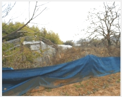  2025Ÿ��34463 ���� ���ֽ� ������ �ε��� 457-5      ����(��1)���