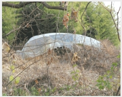  2025Ÿ��34463 ���� ���ֽ� ������ �ε��� 457-5      ����(��1)���