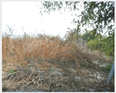  2025Ÿ��34463 ���� ���ֽ� ������ �ε��� 457-5      ����(��1)���