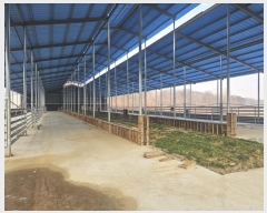  2025Ÿ��103  ����