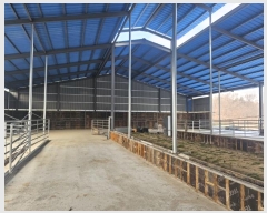  2025Ÿ��103  ����