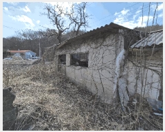  2025Ÿ��646 ���� ���ֽ� ������ ǳ���� 66      ����(��1)���