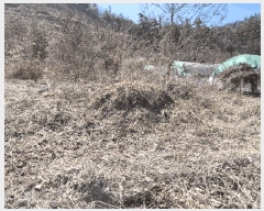  2025Ÿ��646 ���� ���ֽ� ������ ǳ���� 66      ����(��1)���